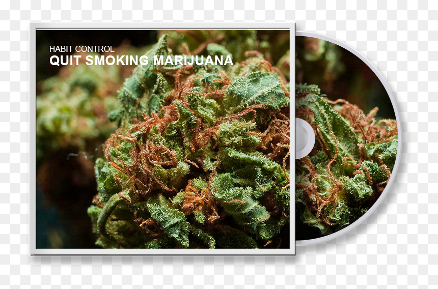 Full Hd Weed Bud, HD Png Download - marijuana.png