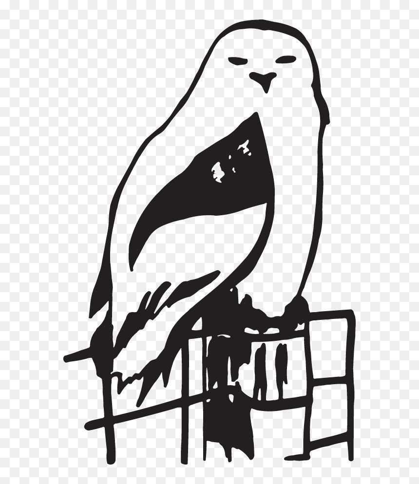 Clip Art, HD Png Download - snow owl png