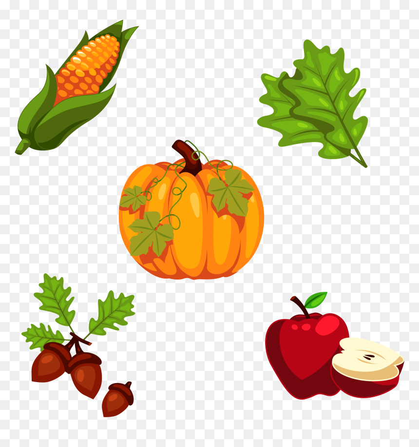Thanksgiving Pumpkin Png - Thanksgiving Elements, Transparent Png - decoracion png