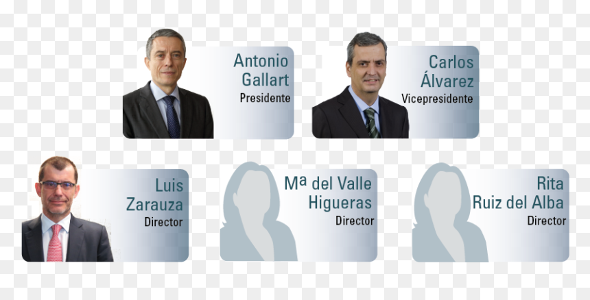Organigrama-directores - Businessperson, HD Png Download - ejecutivos png