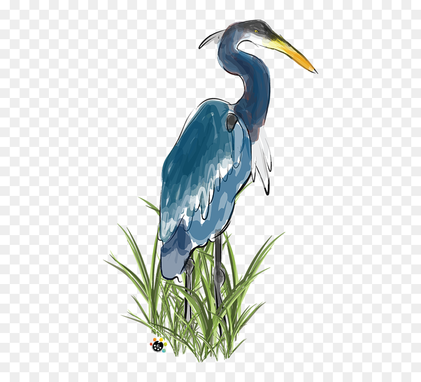 Great Blue Heron, HD Png Download - blue heron png