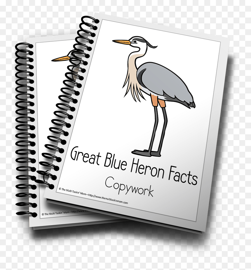Tax Training Course, HD Png Download - blue heron png