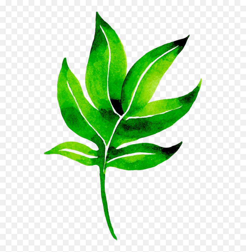Clip Art, HD Png Download - png nature