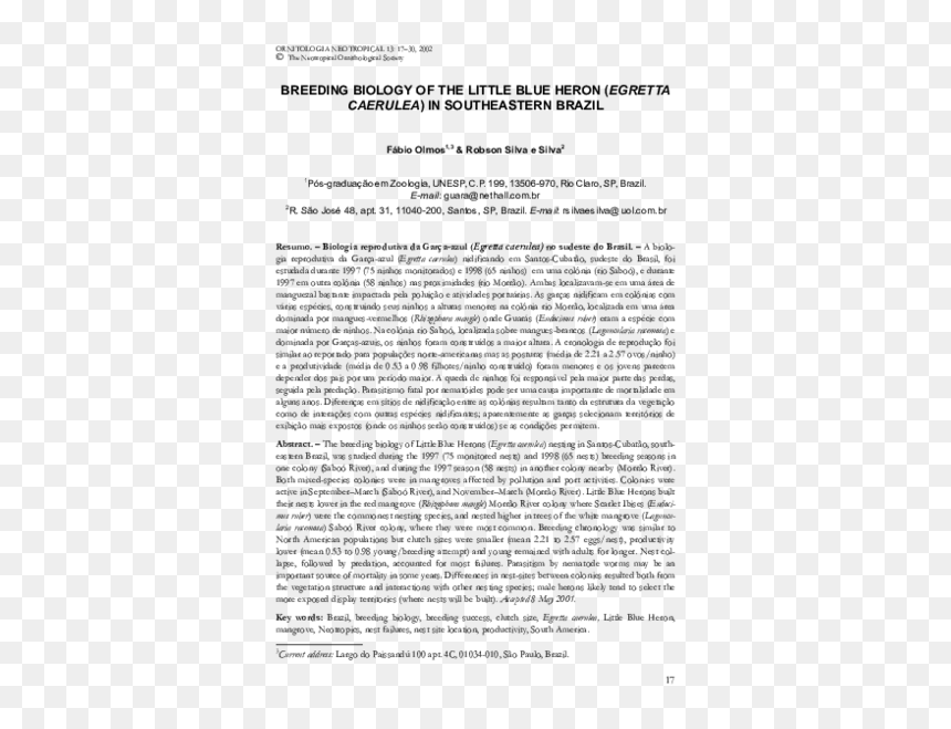 Document, HD Png Download - blue heron png