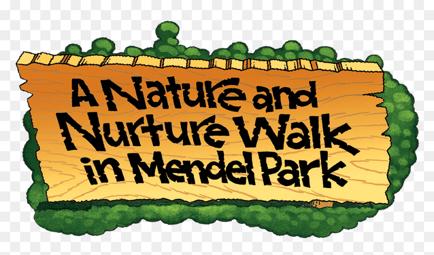 A Nature Nurture Walk In Mendel Park, HD Png Download - png nature