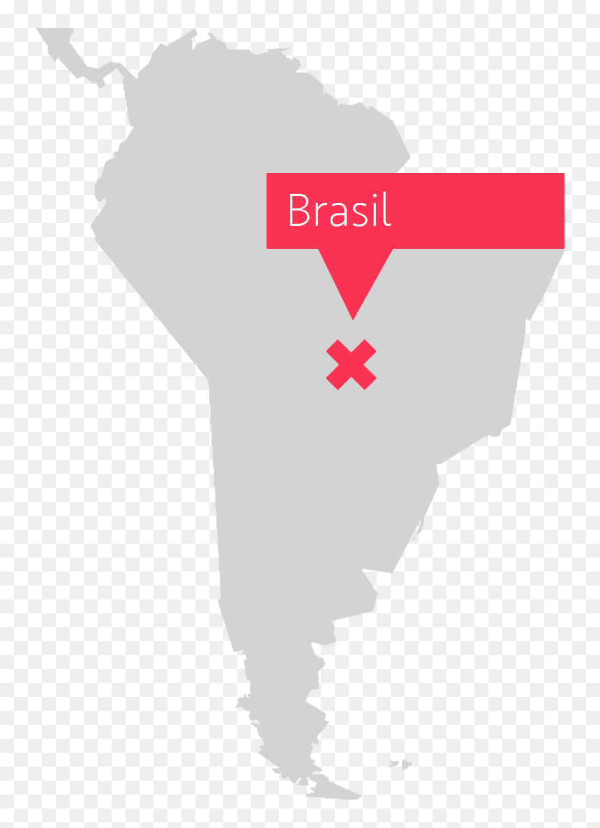 White Cheeked Spider Monkey Habitat, HD Png Download - mapa do brasil png
