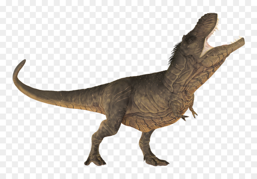 Dinosaur Calendar 2019 Printable, HD Png Download - t rex skeleton png