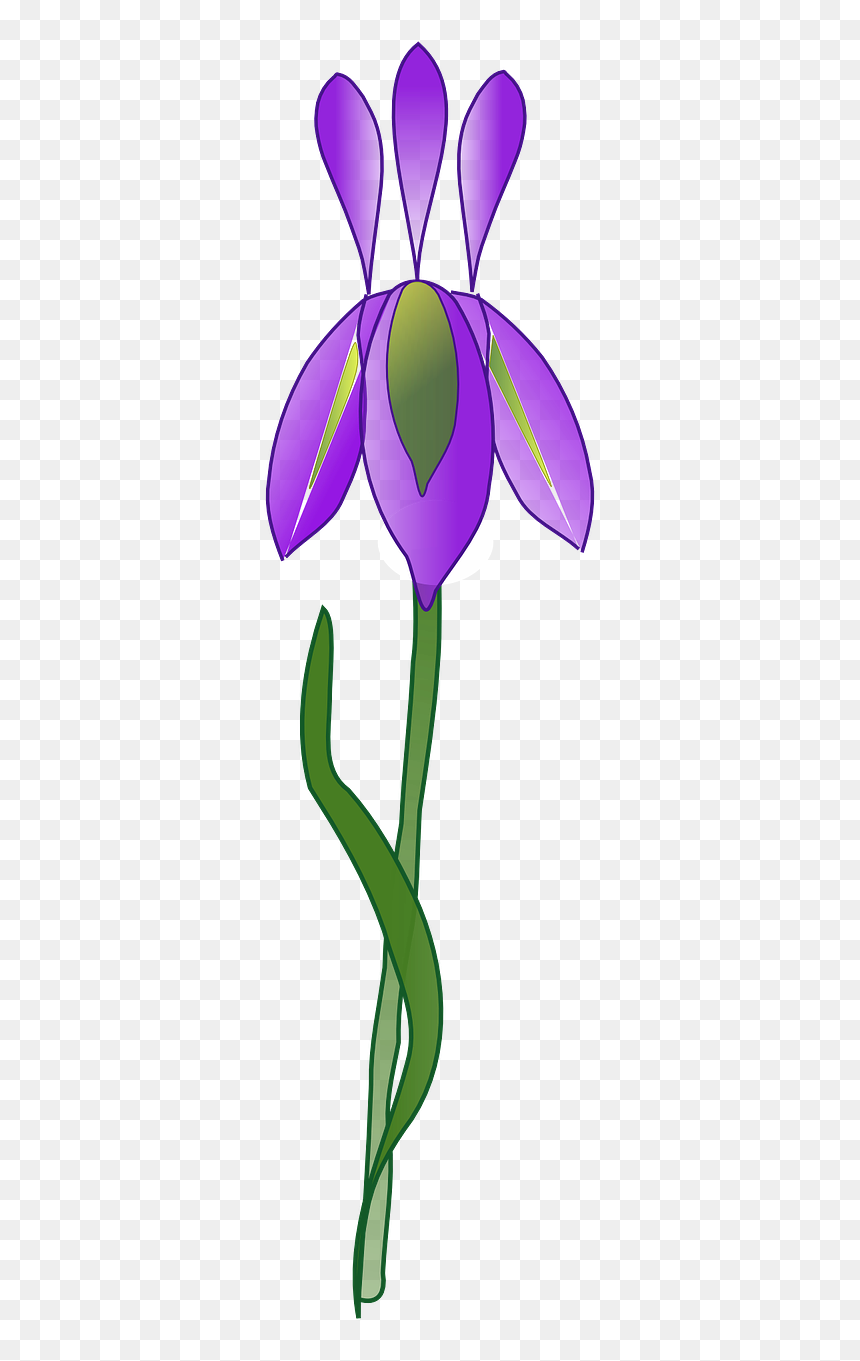 Iris Flower Vector Png, Transparent Png - purple iris png