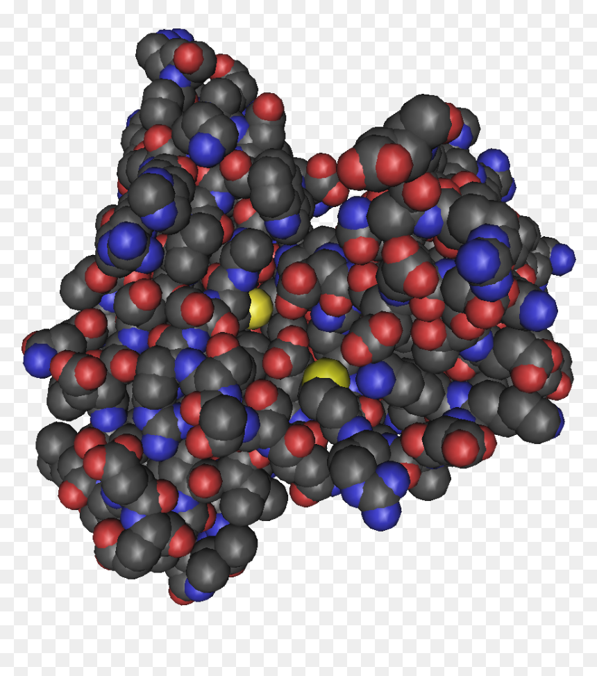 Irisin Mmdb Id 113942 Pdb Id 4lsd - Illustration, HD Png Download - purple iris png