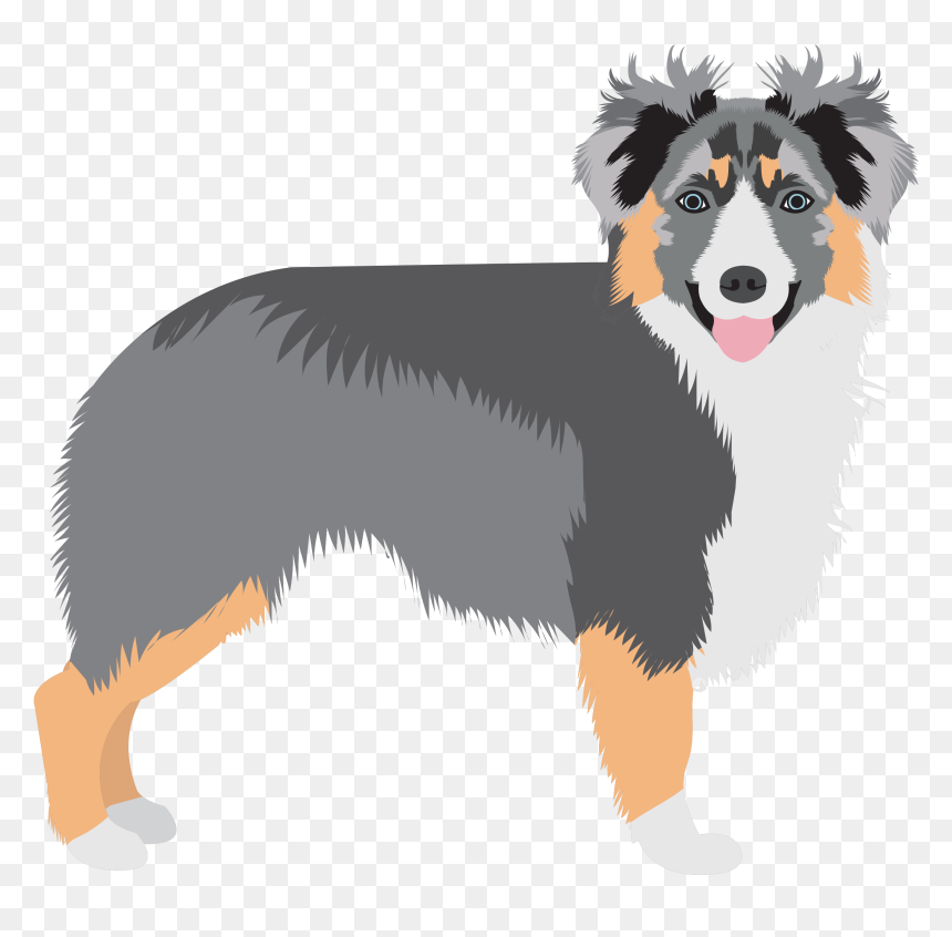 Perro Pastor Australiano Png, Transparent Png - australian shepherd png