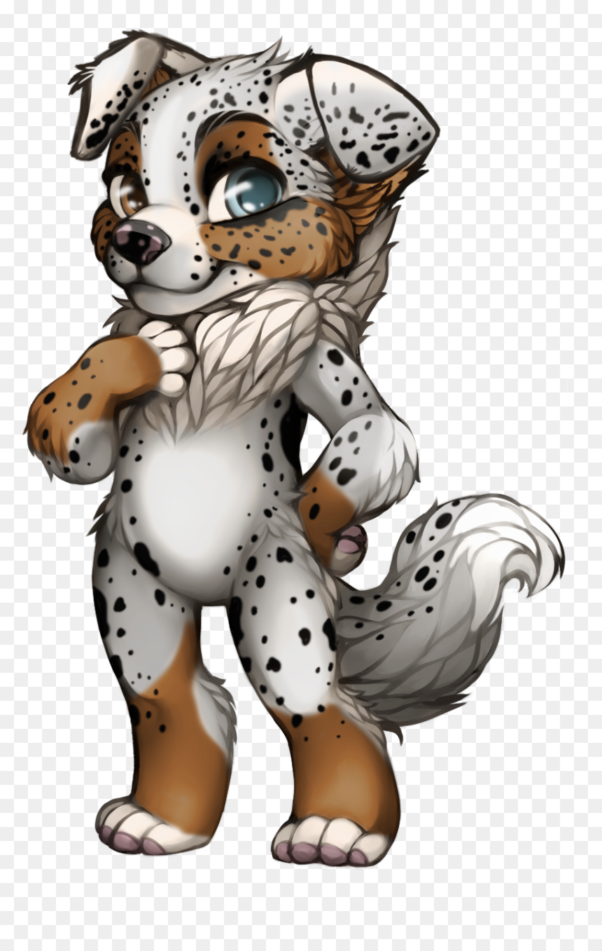 Australian Shepherd Png, Transparent Png - australian shepherd png