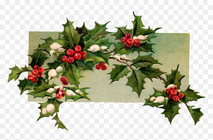 Vintage Christmas Holly Holly Branch, HD Png Download - christmas berries png