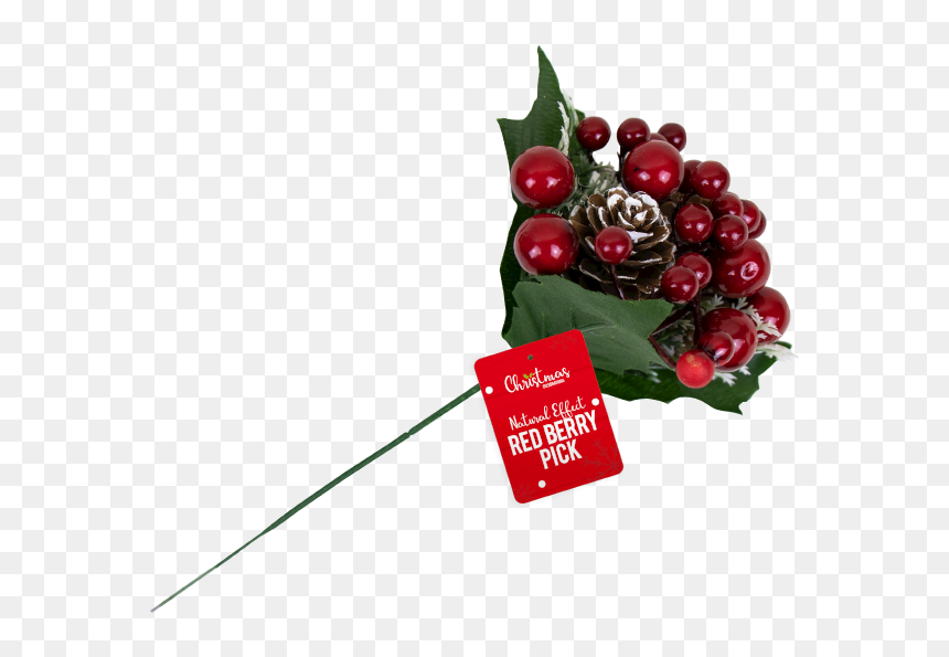 Christmas Red Berry Pick With Pdq - Currant, HD Png Download - christmas berries png
