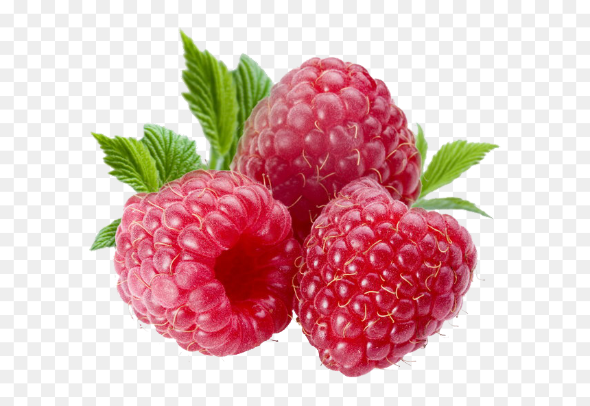 Download Berries Png File - Berries Png, Transparent Png - christmas berries png