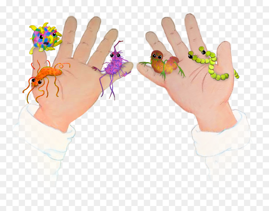 Germ Clipart Scrub Hand - Animated Hands With Germs, HD Png Download - like hand png