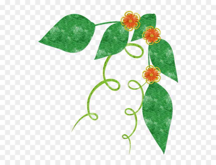 Scrapbook, Green, Nature, Grunge, Color, Green Leaves - Anthurium, HD Png Download - grunges png