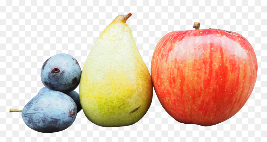 Apple, HD Png Download - watercolor pngs