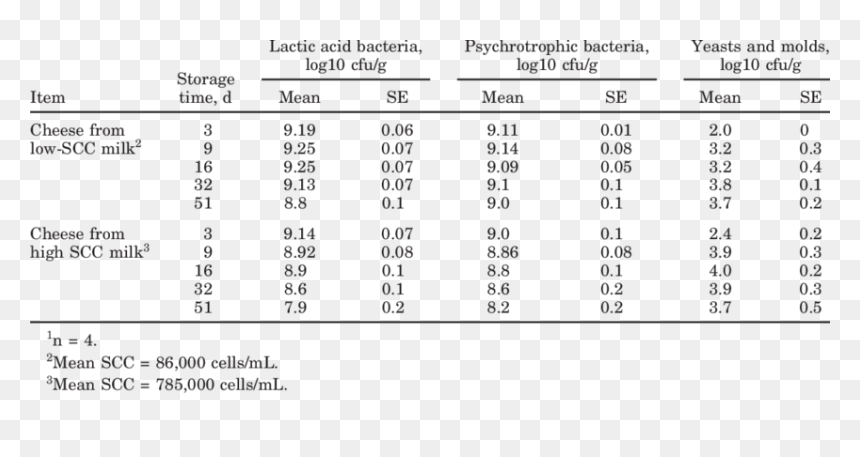Bipolar Disorder Test Results, HD Png Download - pão de queijo png