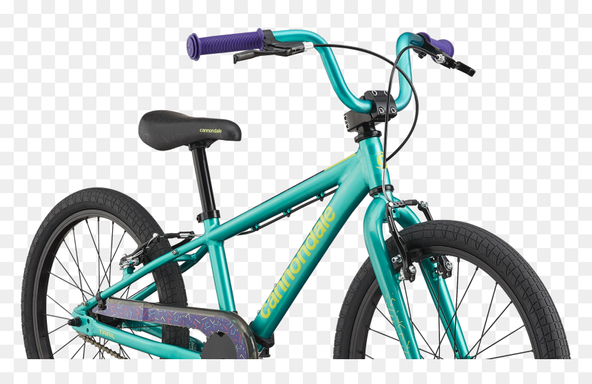 Specialized P Street Two, HD Png Download - baby girl frame png
