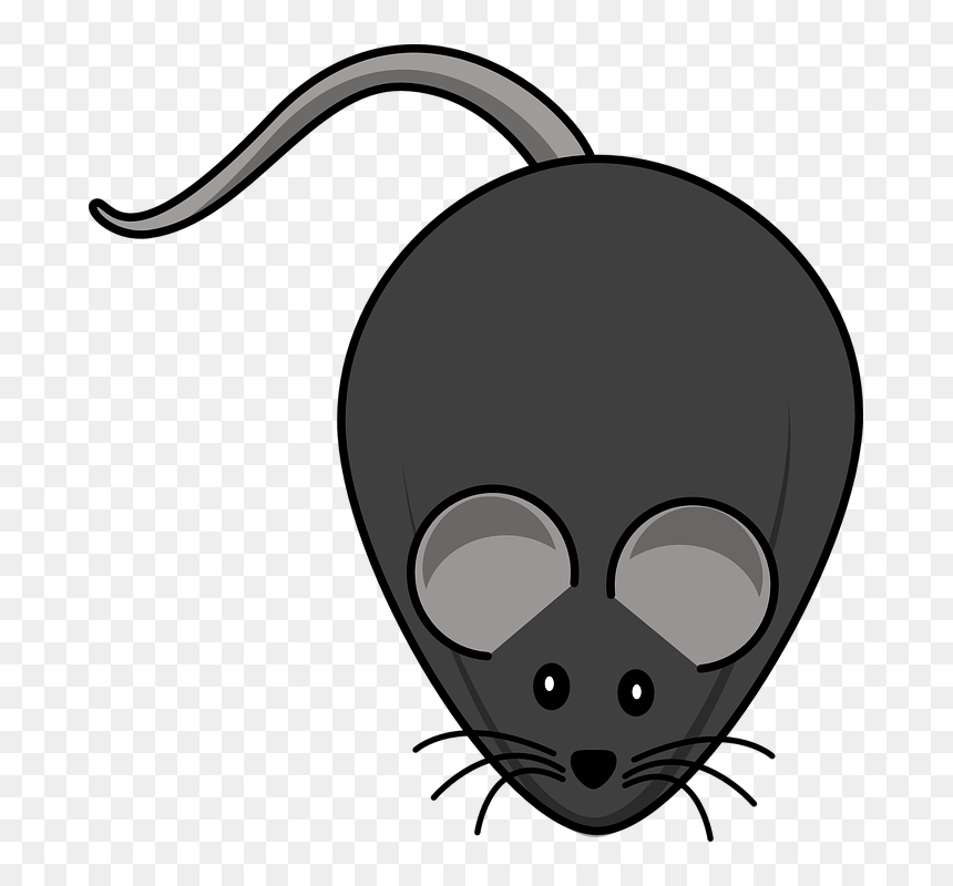 Transparent Cute Mouse Clipart - Black Mouse Clipart, HD Png Download - cute mouse png