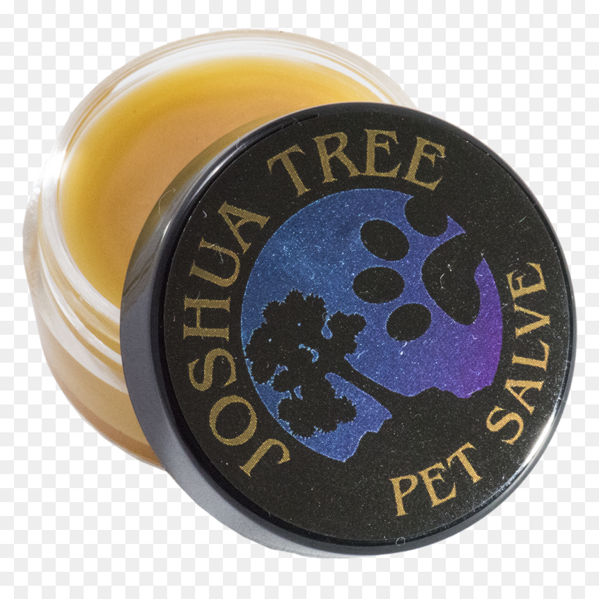 Dry Skin Treatment For Dogs - Joshua Tree National Park, HD Png Download - dry tree png