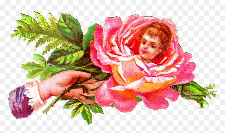 Rose With Face In Middle, HD Png Download - rose graphic png