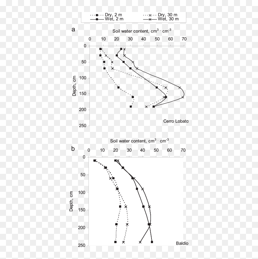Diagram, HD Png Download - dry tree png