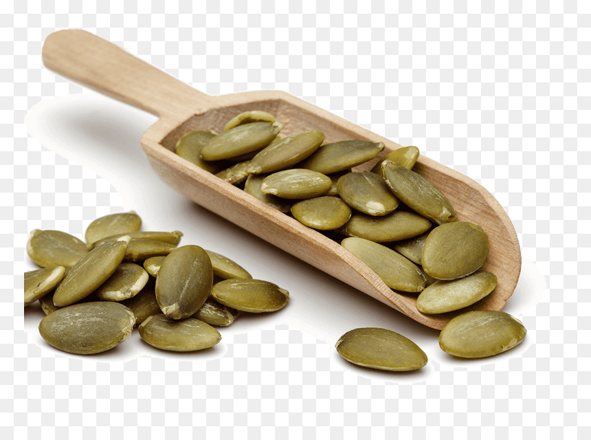 Pumpkin-shovel - Egusi, HD Png Download - sunflower seeds png