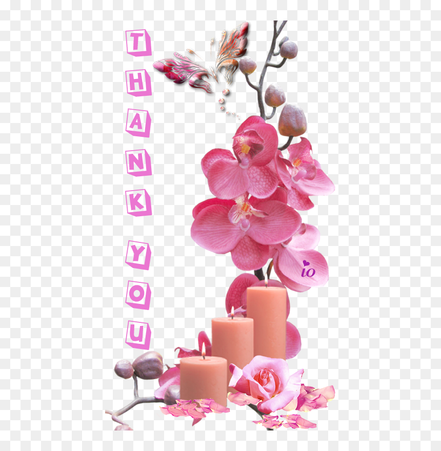 Orchid Flower Frame Psd , Png Download - Orchid Png, Transparent Png - orchid flower png