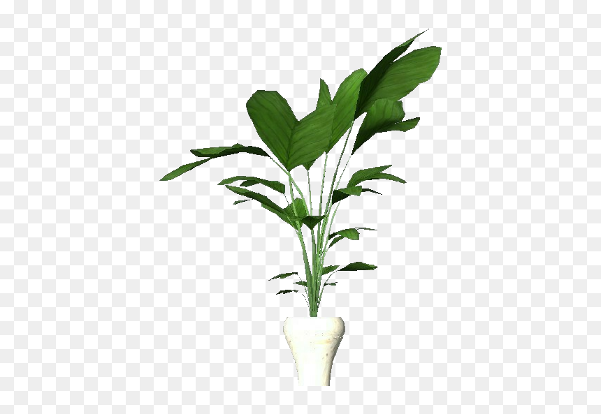 Potted Plant For Apartments - Apartment Flower Png, Transparent Png - potted tree png