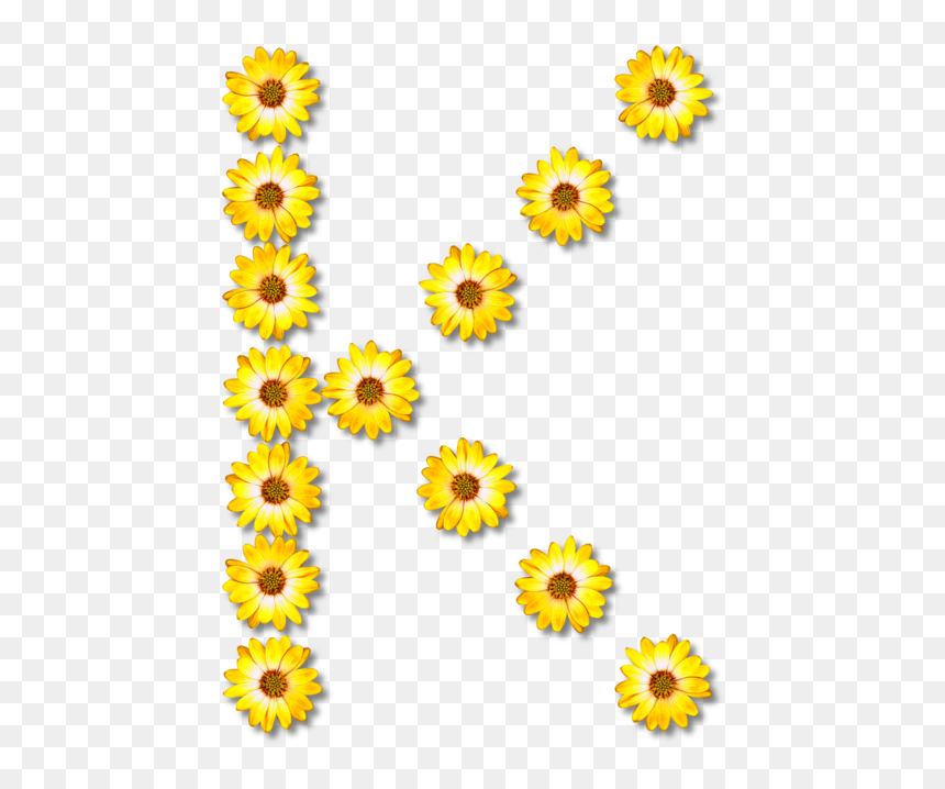 Sunflower Seed,chrysanths,plant, HD Png Download - greek alphabet png