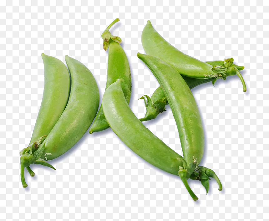 Cucumber Slices Png, Transparent Png - cucumber slices png