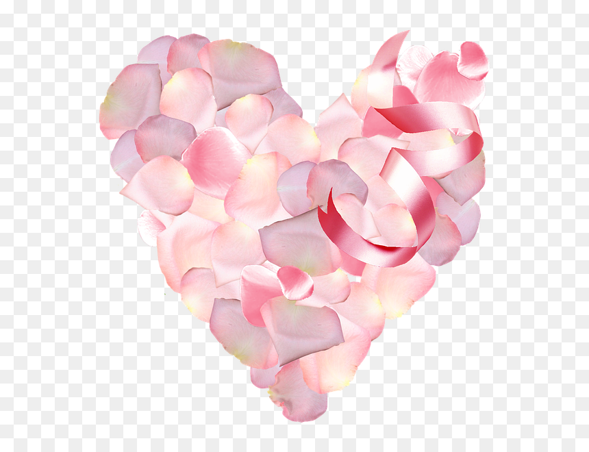Heart, HD Png Download - petalos de rosa png