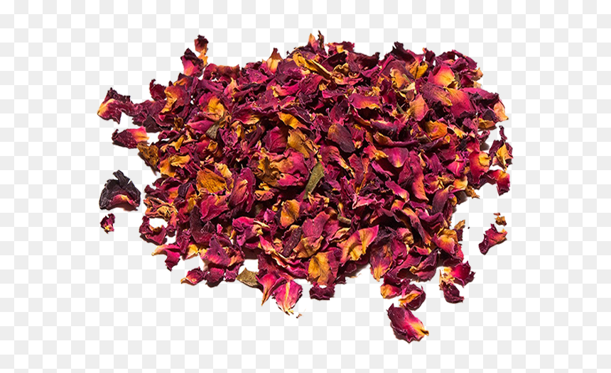Petalos De Rosa - Cut Flowers, HD Png Download - petalos de rosa png