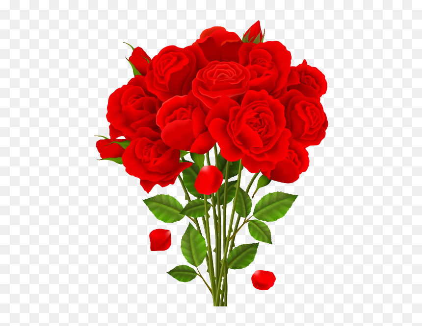 Rose Png Free File Download - Rose Bouquet Illustration, Transparent Png - rose background png
