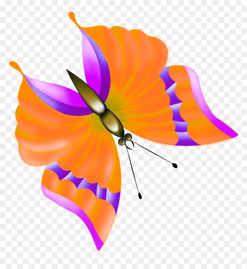 Butterfly Clip Art, Orange Butterfly, Butterfly Images, - Butterfly, HD Png Download - orange butterfly png