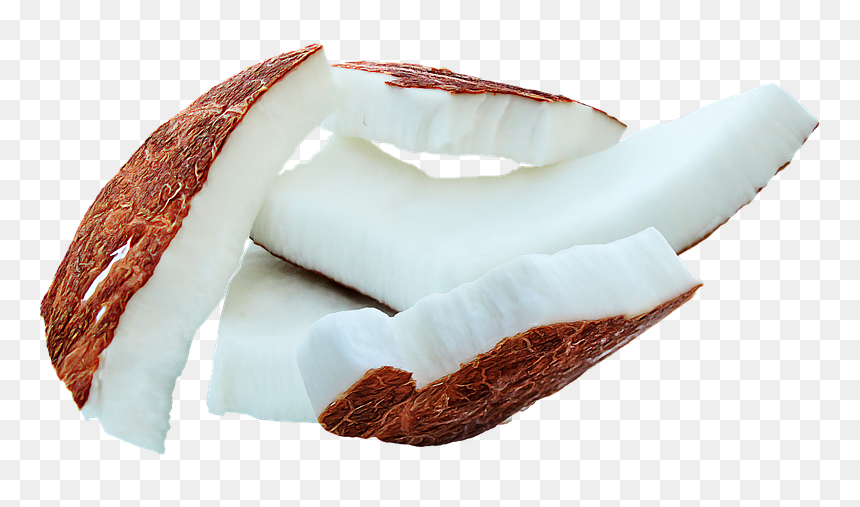 Mct Fats Found In Coconut Oil Boost Brain Function - Coconut Meat Png, Transparent Png - coconut png images