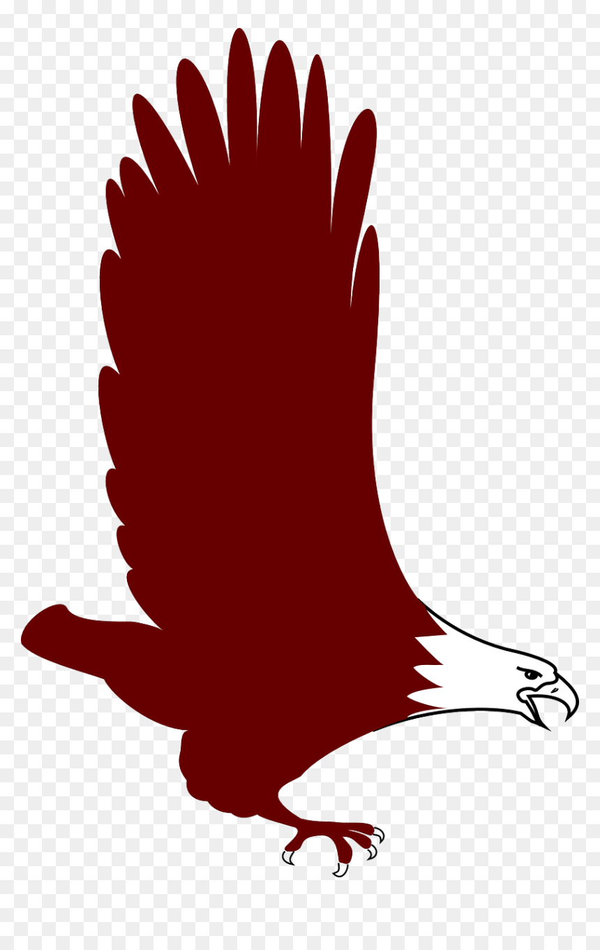 Eagle, HD Png Download - wingspng