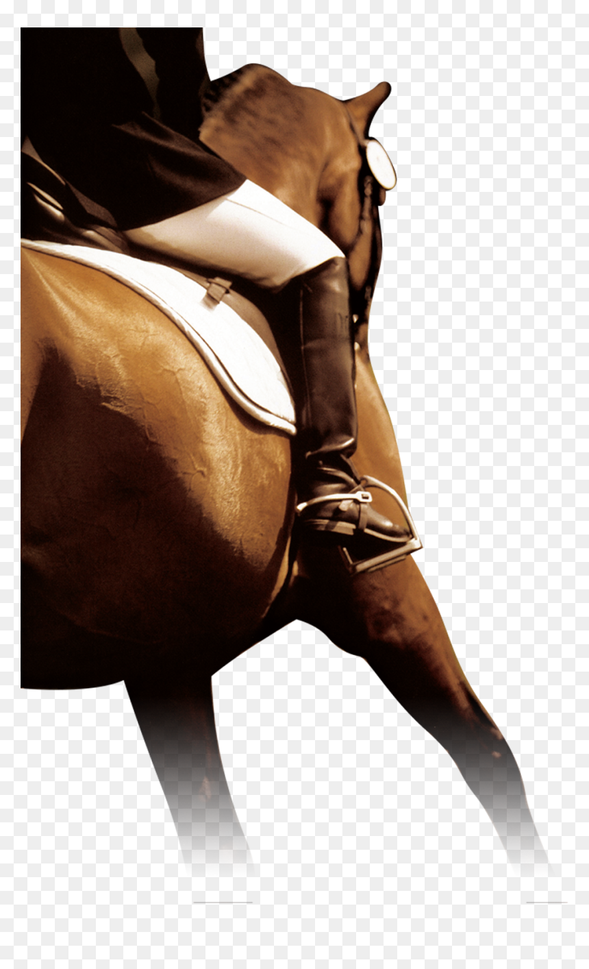 Horse, HD Png Download - horse .png