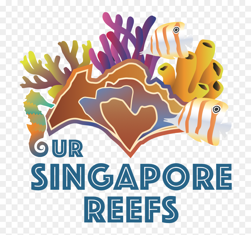 Our Singapore Reefs, HD Png Download - coral reef clipart png