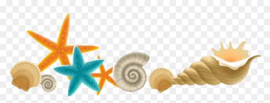 #sea #boarder#seaside #pearls #starfish #ocean #coralreef - Illustration, HD Png Download - coral reef clipart png