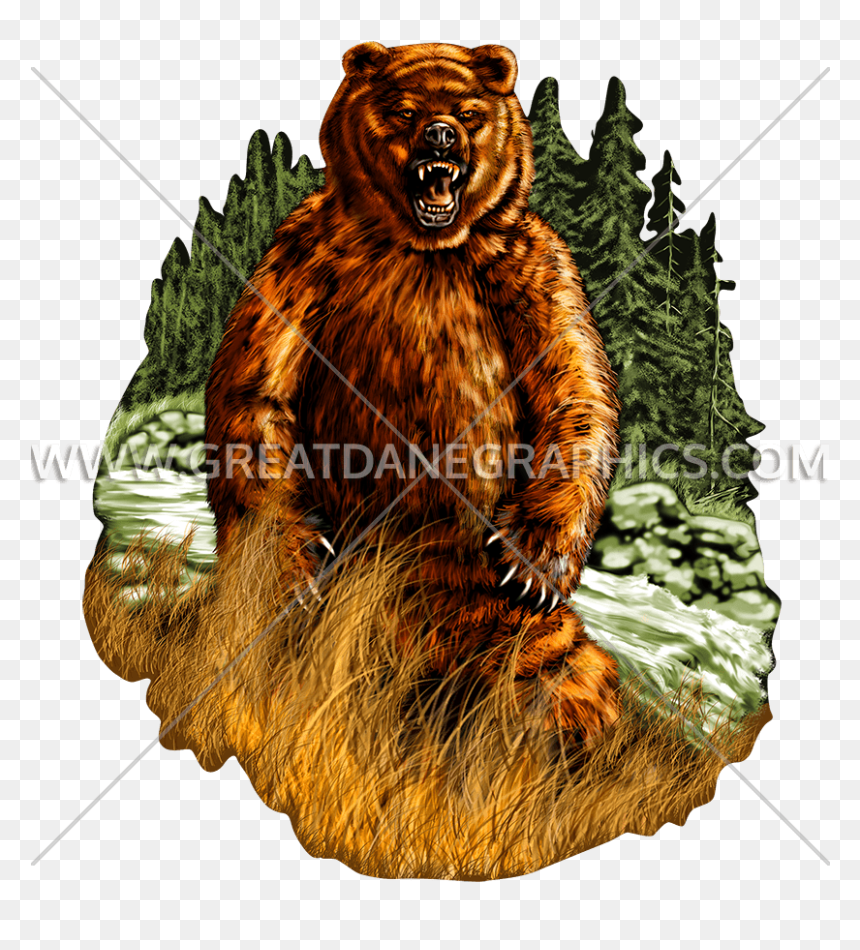 Grizzly Bear, HD Png Download - bear .png