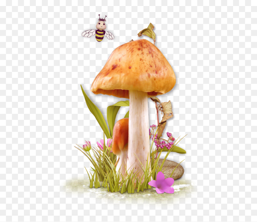 Mushroom, HD Png Download - toadstool png