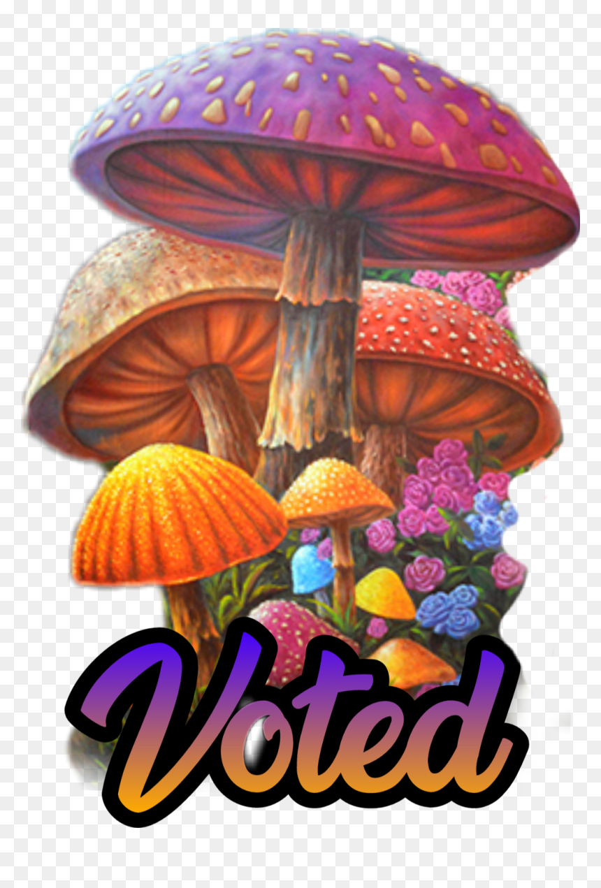 #mushroom #toadstool #voted #stormeday - Medicinal Mushroom, HD Png Download - toadstool png