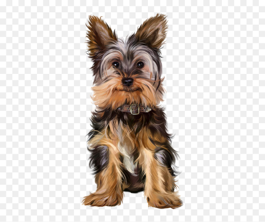 Yorkie Halloween Png, Transparent Png - cute puppies png