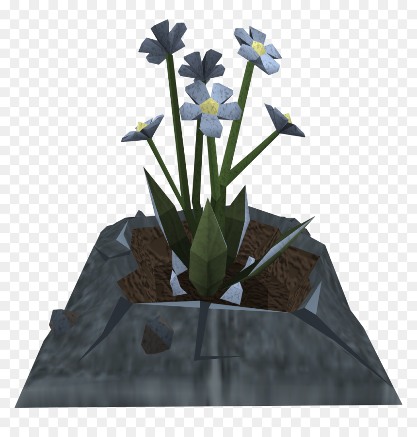 Iris, HD Png Download - plants .png