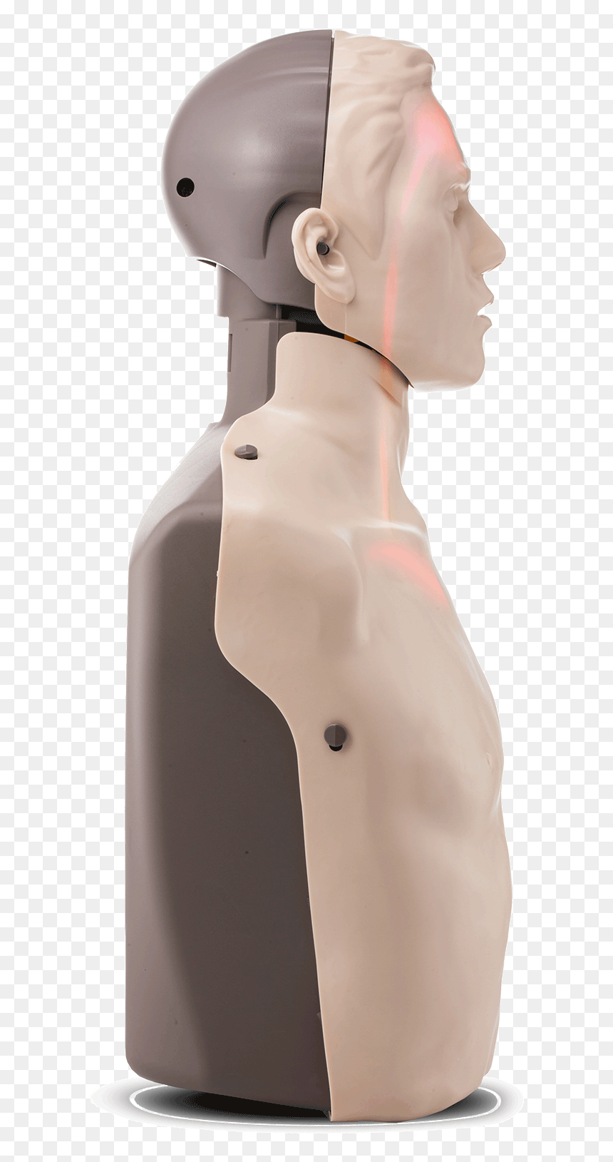 Cpr Manikin With Led Light Feedback Red Cross Store - Mannequin, HD Png Download - manikin png