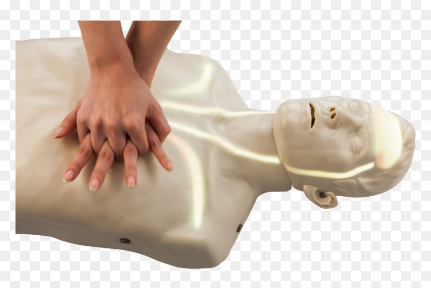 Cpr Manikin, HD Png Download - manikin png