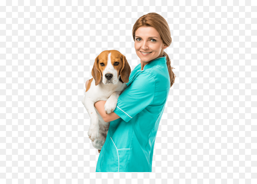 Image - Person With Beagle White, HD Png Download - vet png