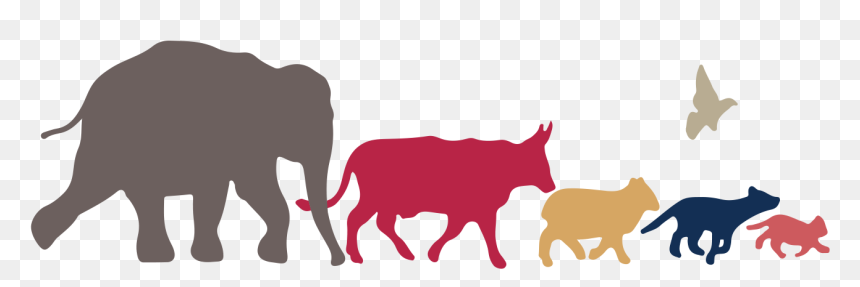 Vet Animals Clip Art, HD Png Download - vet png